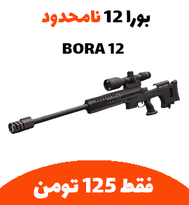 BORA12