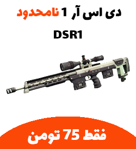 DSR1